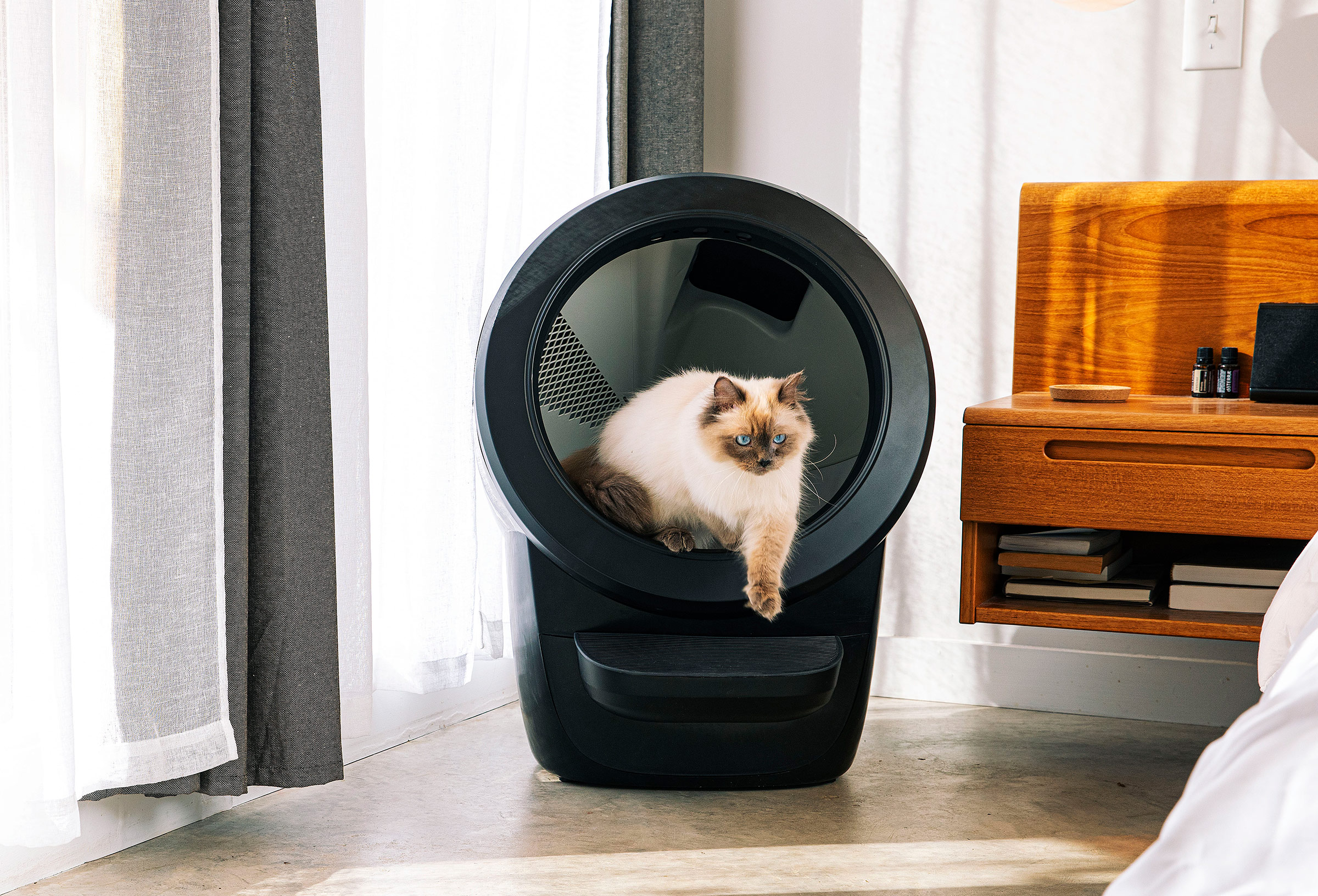 An application scenario or product detail of innovative cat litter box - Image 4
