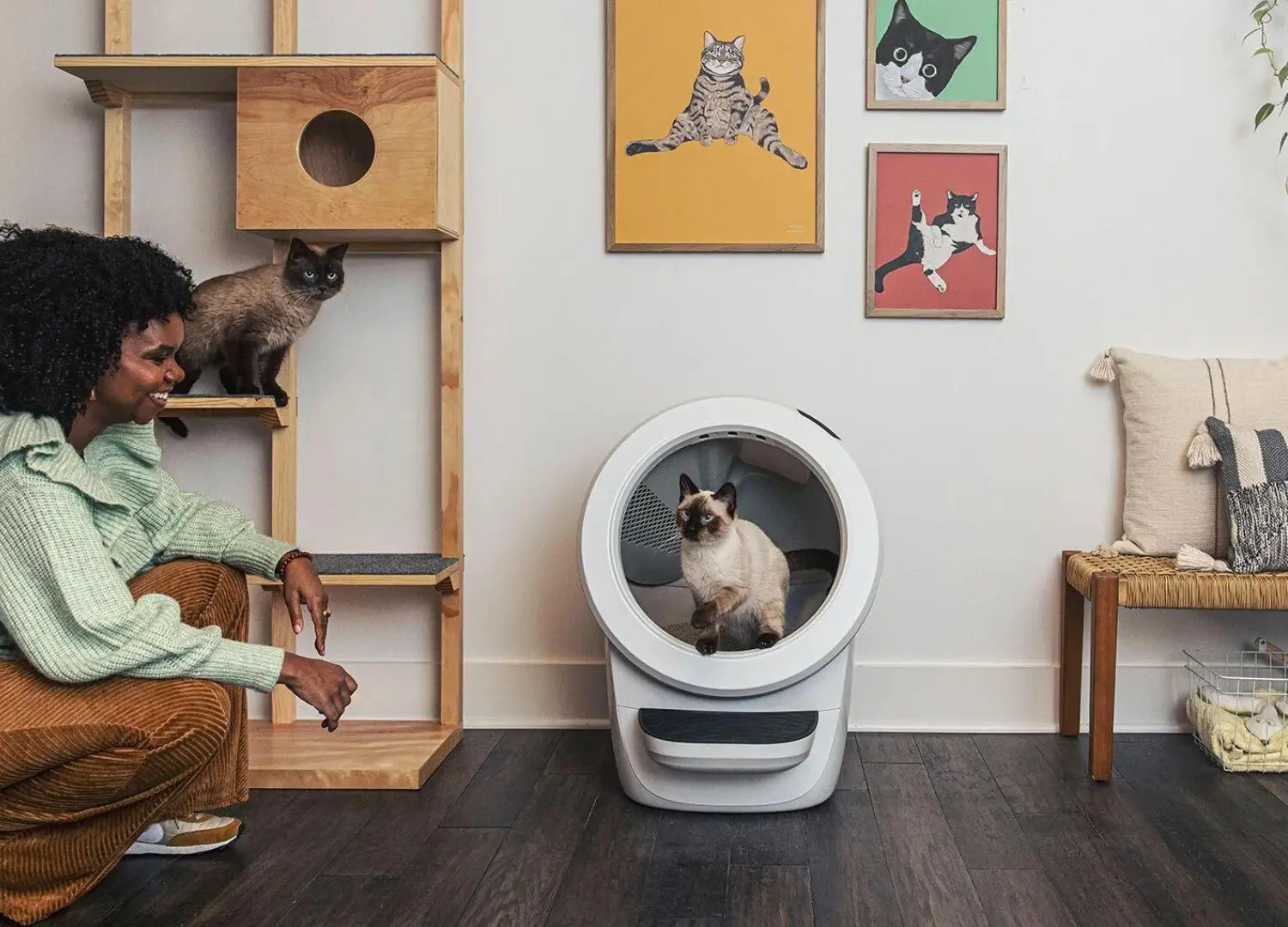 An application scenario or product detail of innovative cat litter box - Image 11