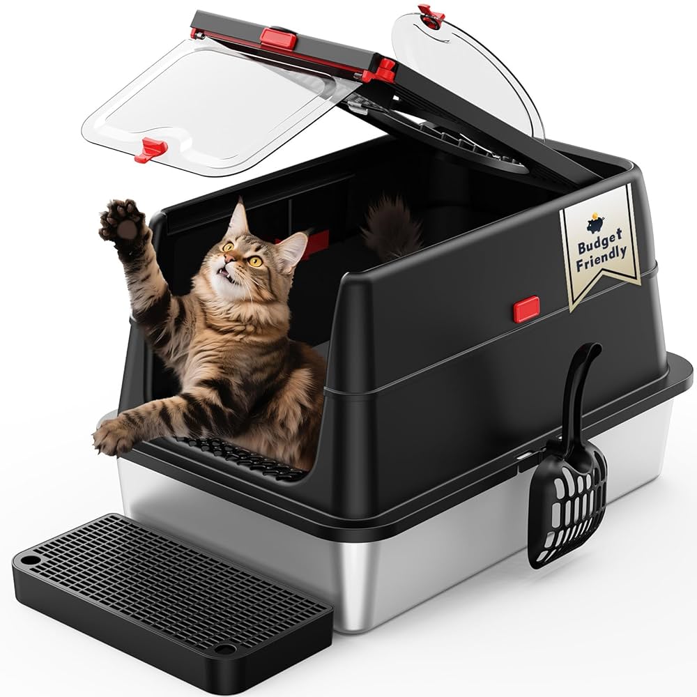 Featured image for the innovative cat litter box guide