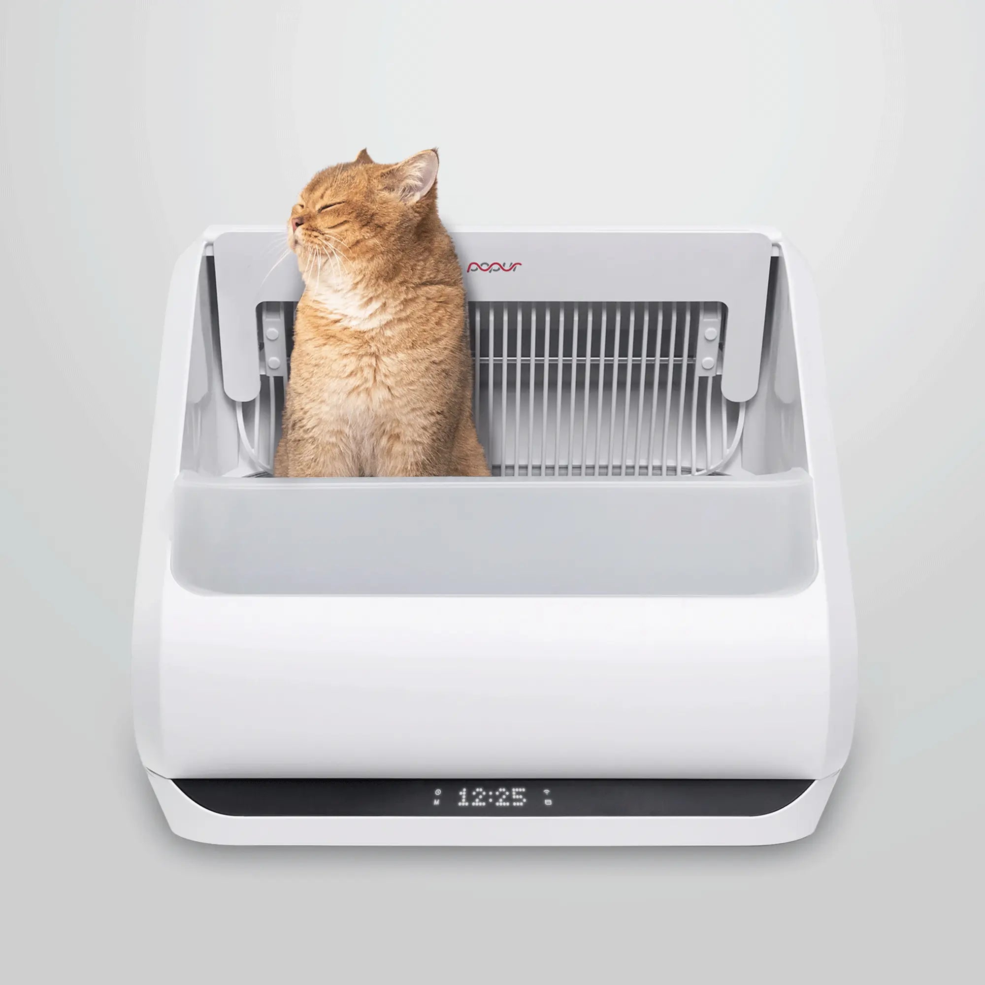 An application scenario or product detail of innovative pet products litter box - Image 1