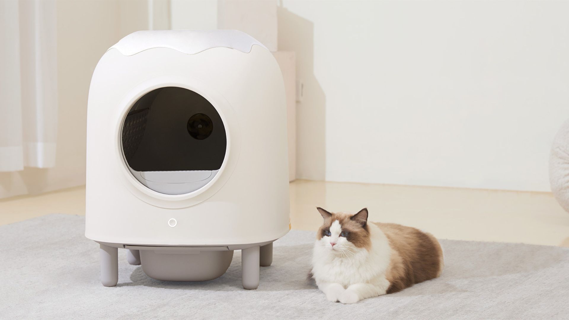 An application scenario or product detail of innovative pet products litter box - Image 7