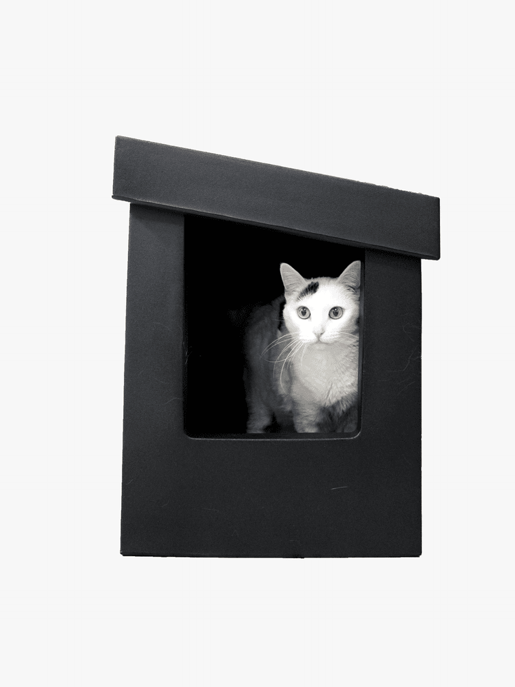 An application scenario or product detail of innovative pet products litter box - Image 13
