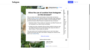 Instagram - Scraping Services