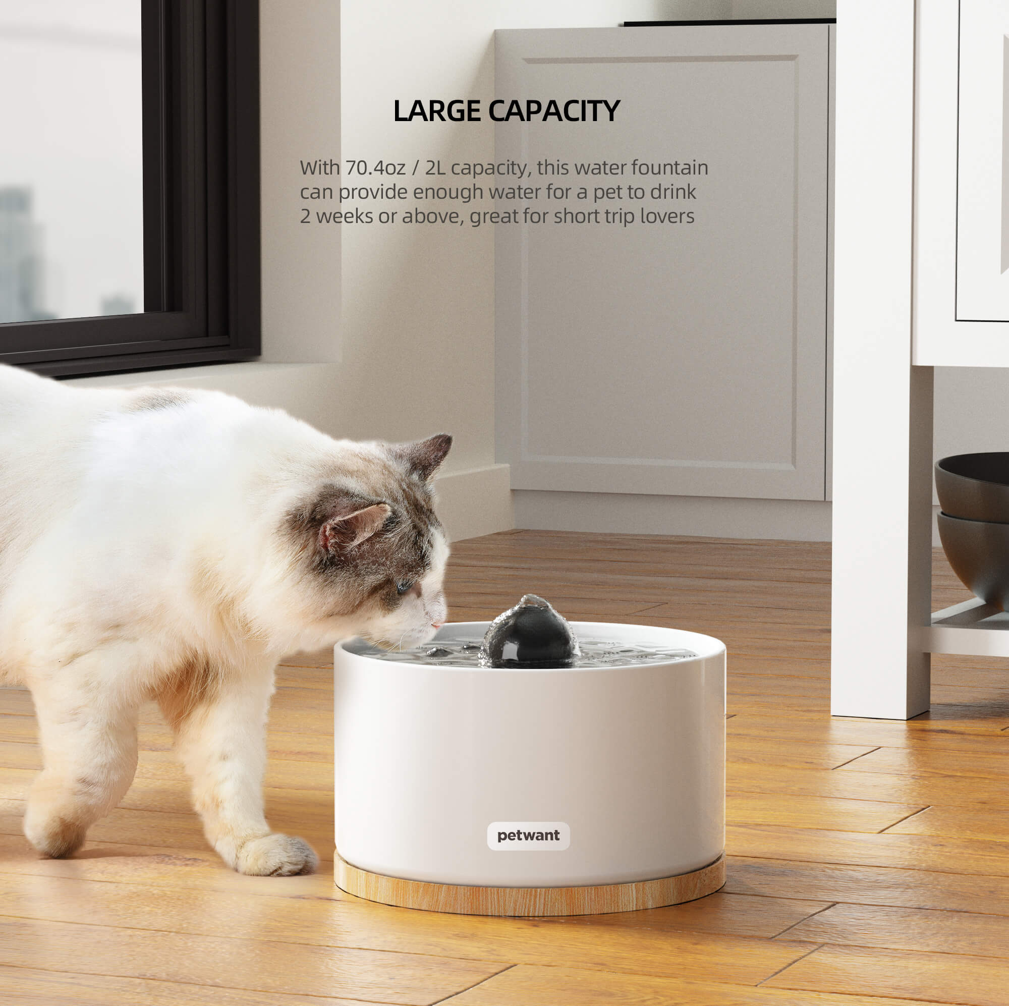 An application scenario or product detail of is cold water bad for cats - Image 13