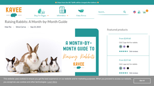 Kavee - The Fuzz Stage Essentials