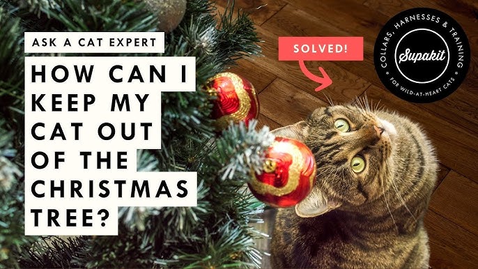An application scenario or product detail of keep cats off the christmas tree - Image 10