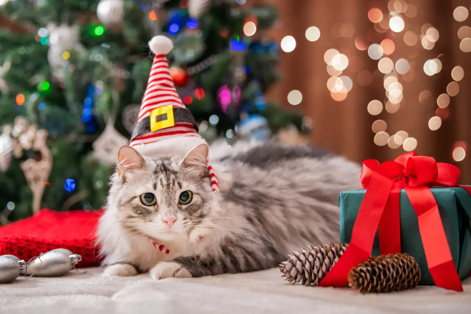 An application scenario or product detail of keep cats off the christmas tree - Image 12