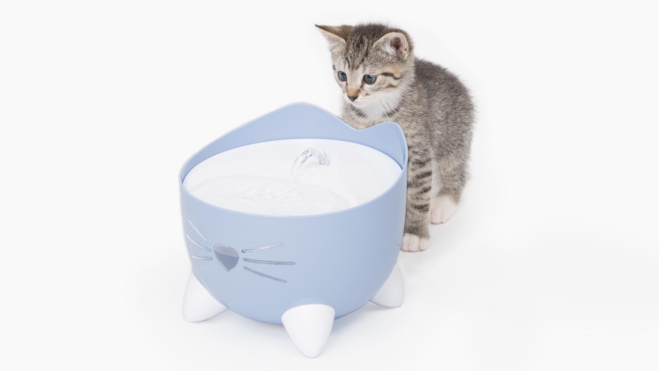 An application scenario or product detail of kitten drinking fountain - Image 4
