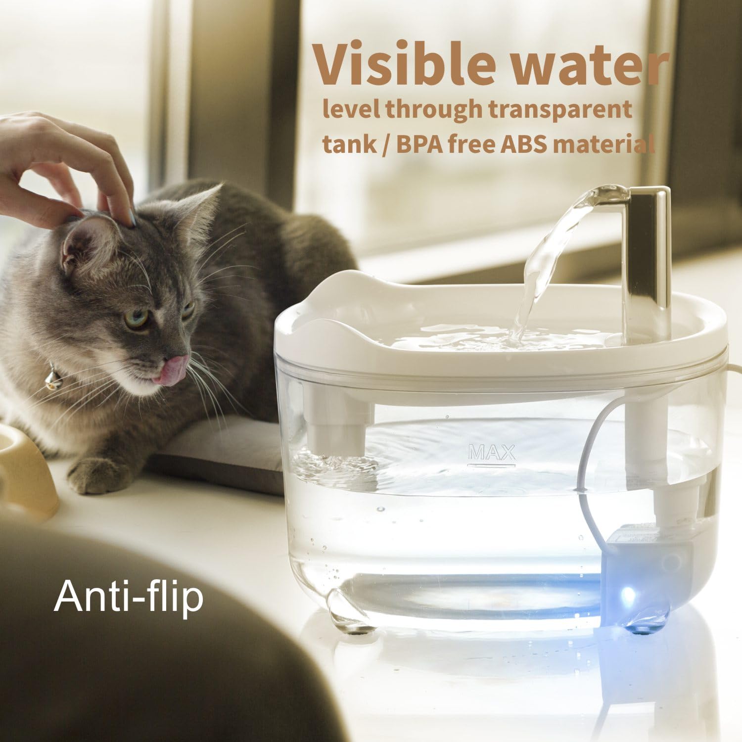 An application scenario or product detail of kitten drinking fountain - Image 11