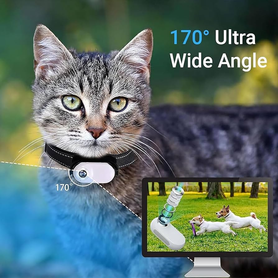 An application scenario or product detail of kitty cam collar - Image 8
