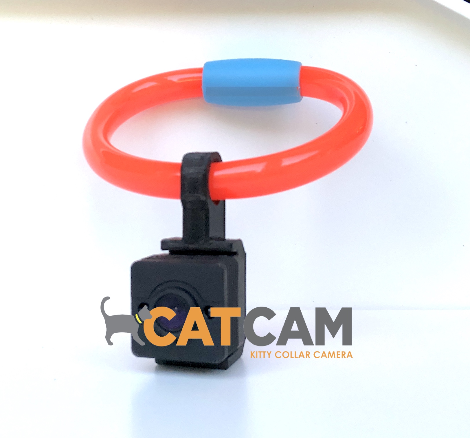 An application scenario or product detail of kitty cam collar - Image 14