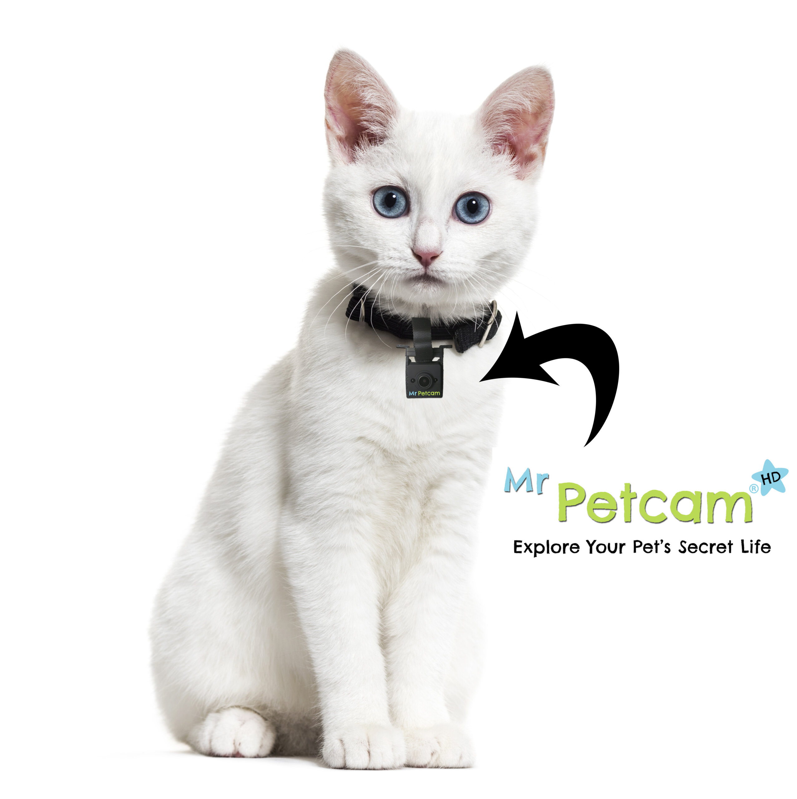 An application scenario or product detail of kitty cam collar - Image 16