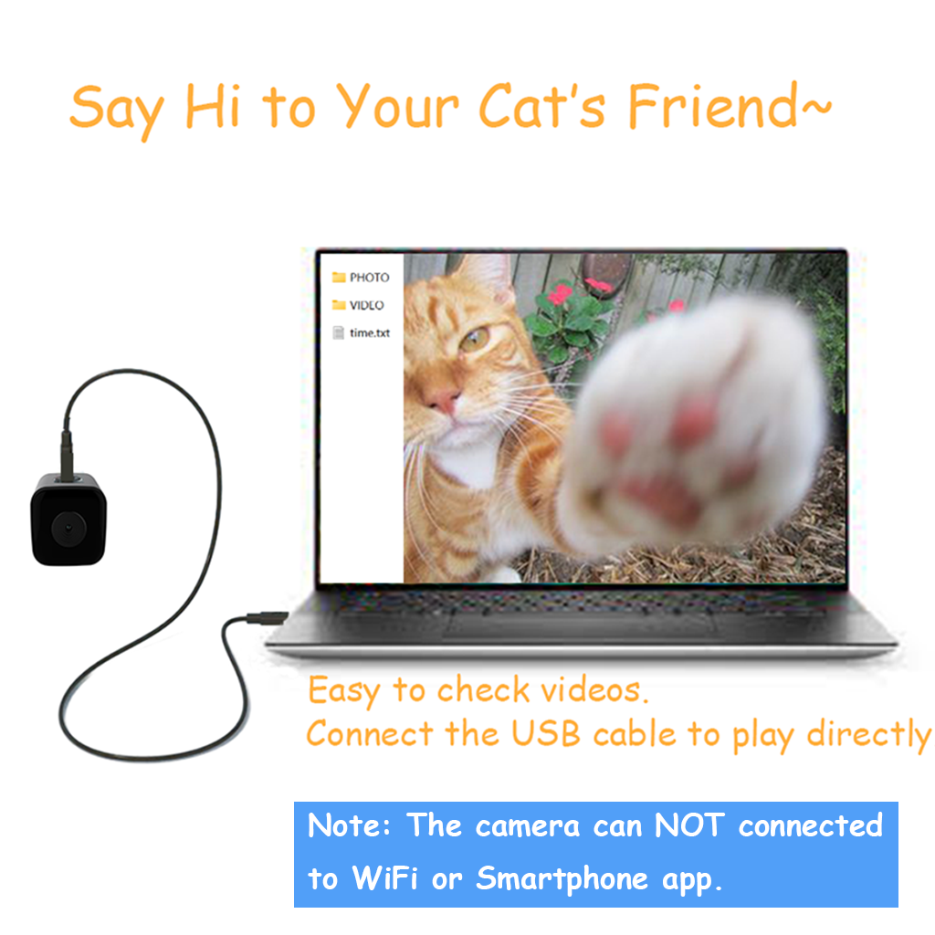 An application scenario or product detail of kitty cam collar - Image 23