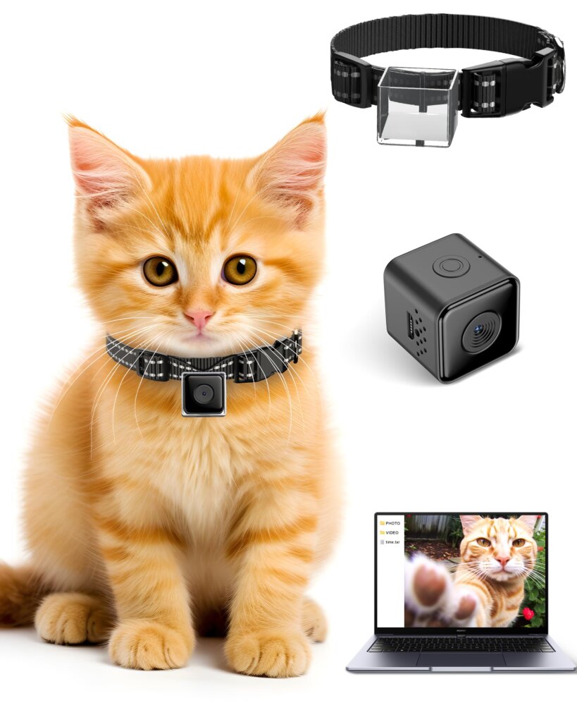 Featured image for the kitty cam collar guide