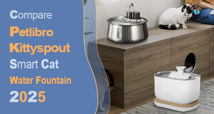 An application scenario or product detail of kitty fountain - Image 4