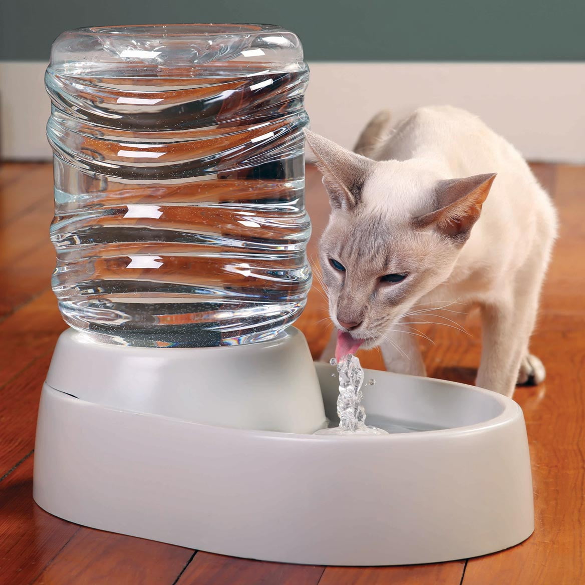 An application scenario or product detail of kitty fountain - Image 15