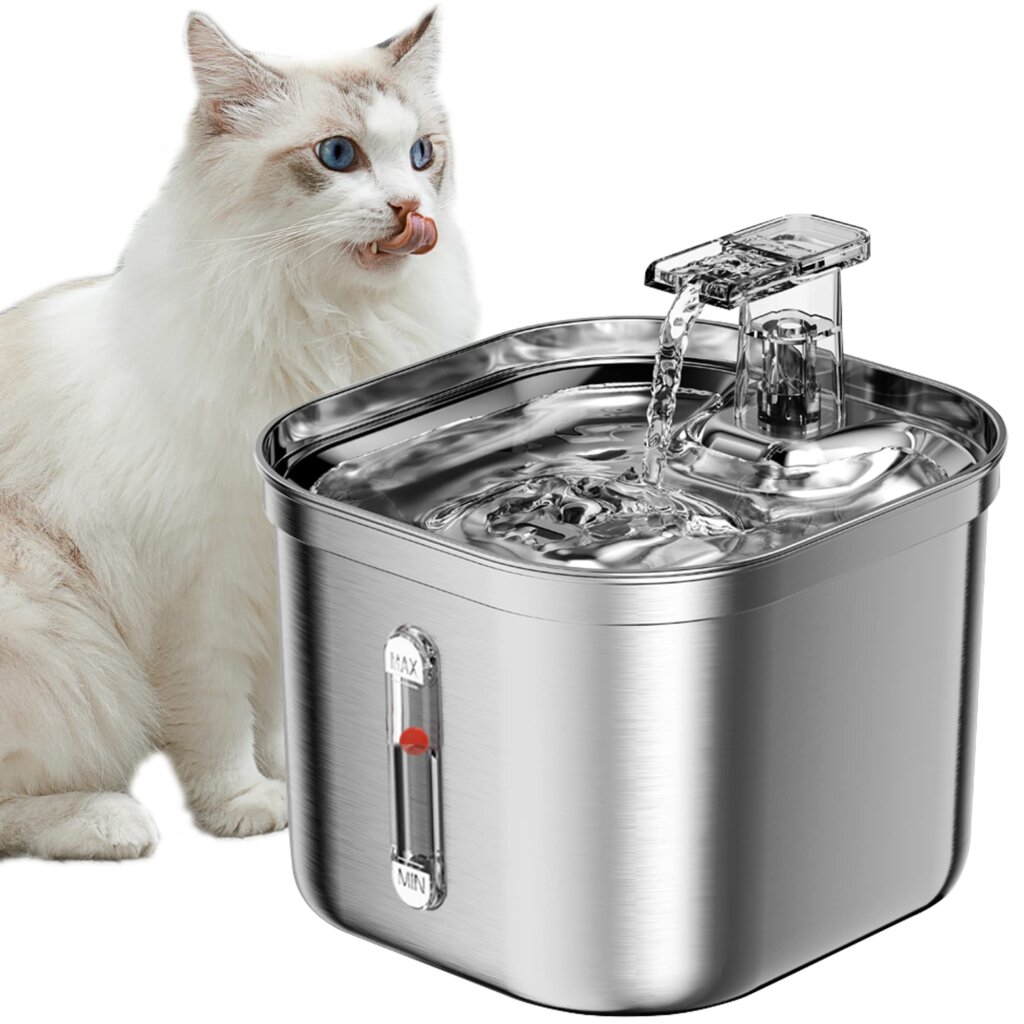 Featured image for the kitty fountain guide