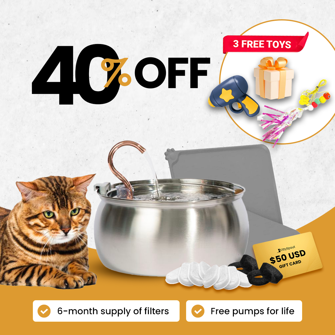 An application scenario or product detail of kitty spout - Image 9