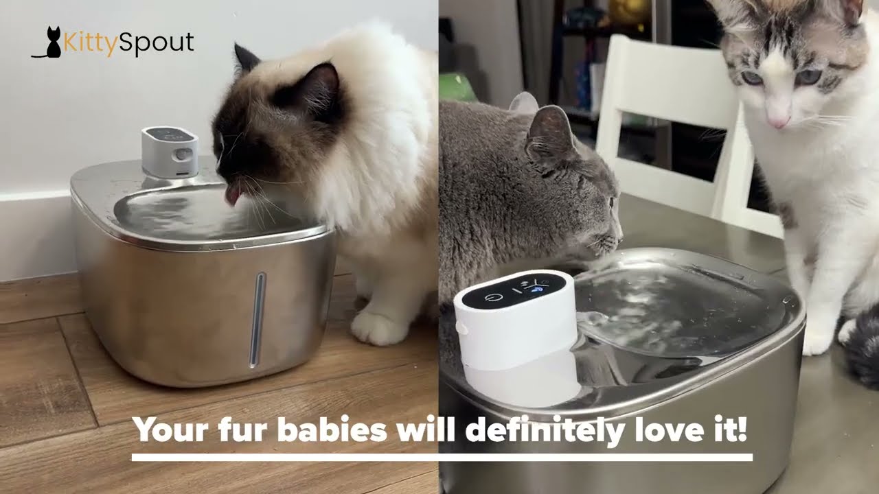 An application scenario or product detail of kitty spout - Image 14