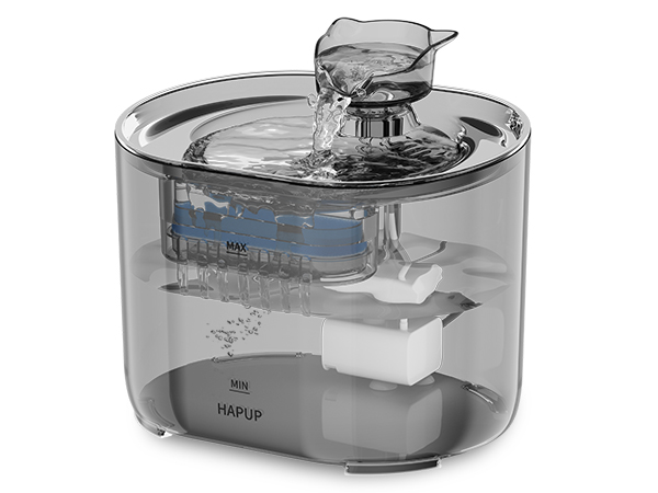 Featured image for the kitty water guide