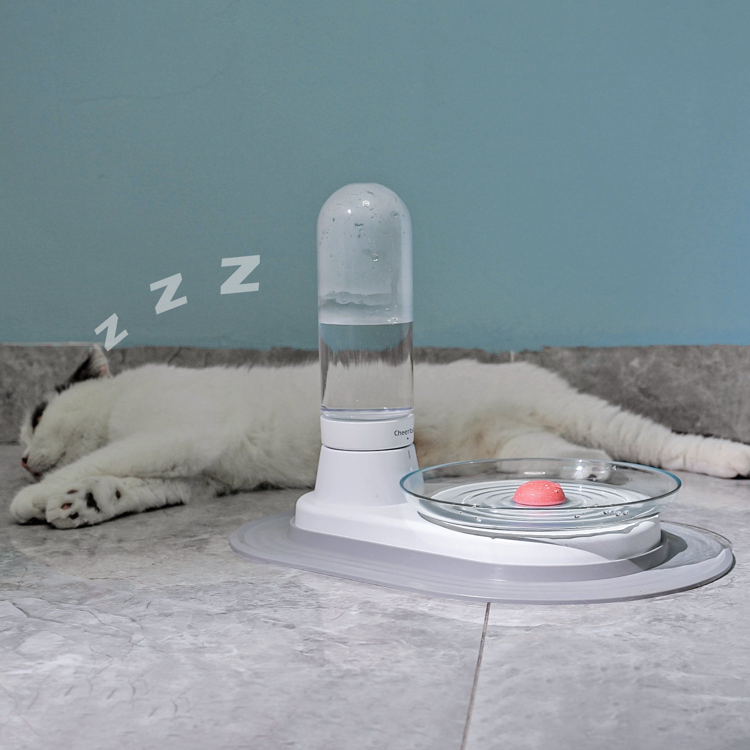 An application scenario or product detail of kitty water fountain - Image 12