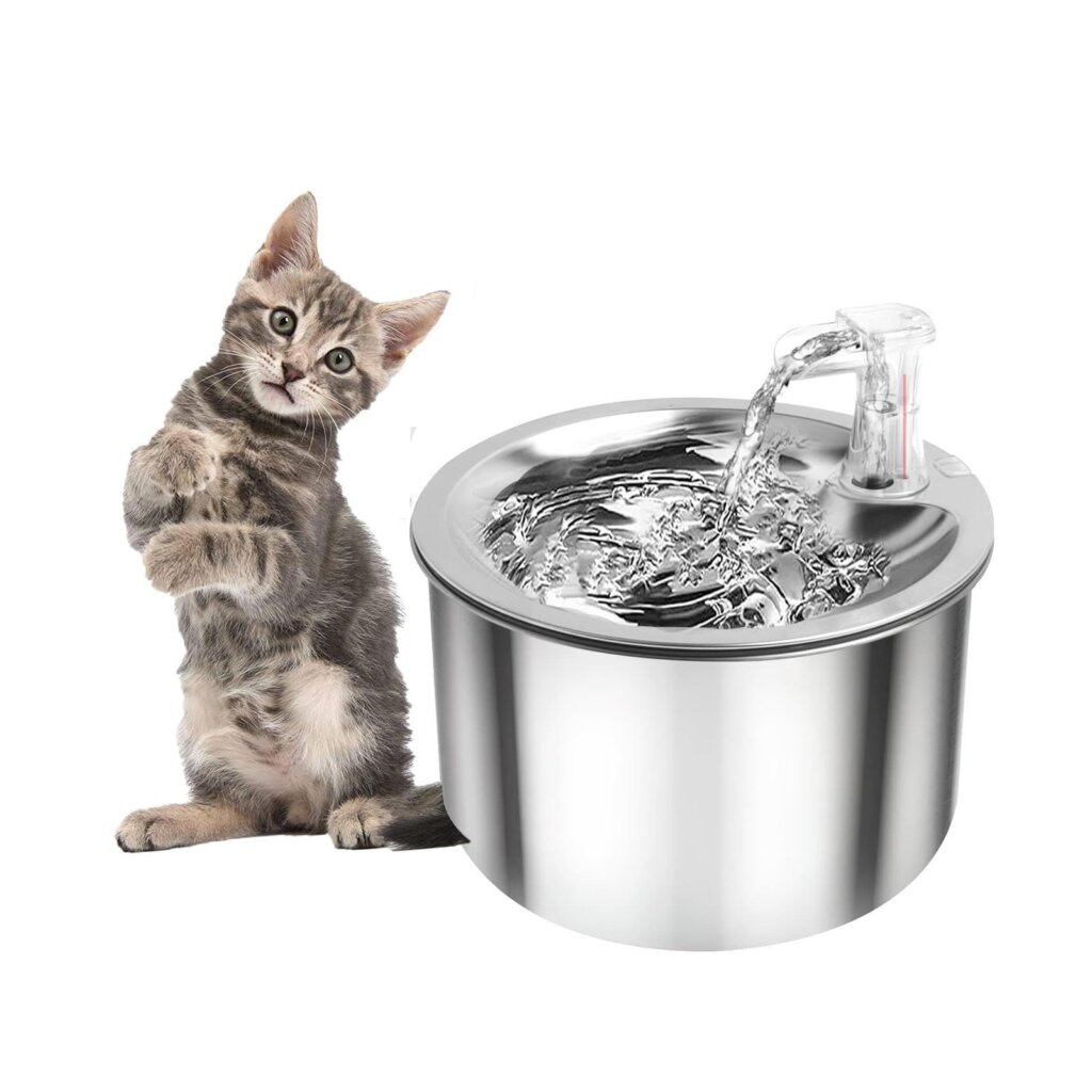 Featured image for the kitty water fountain guide