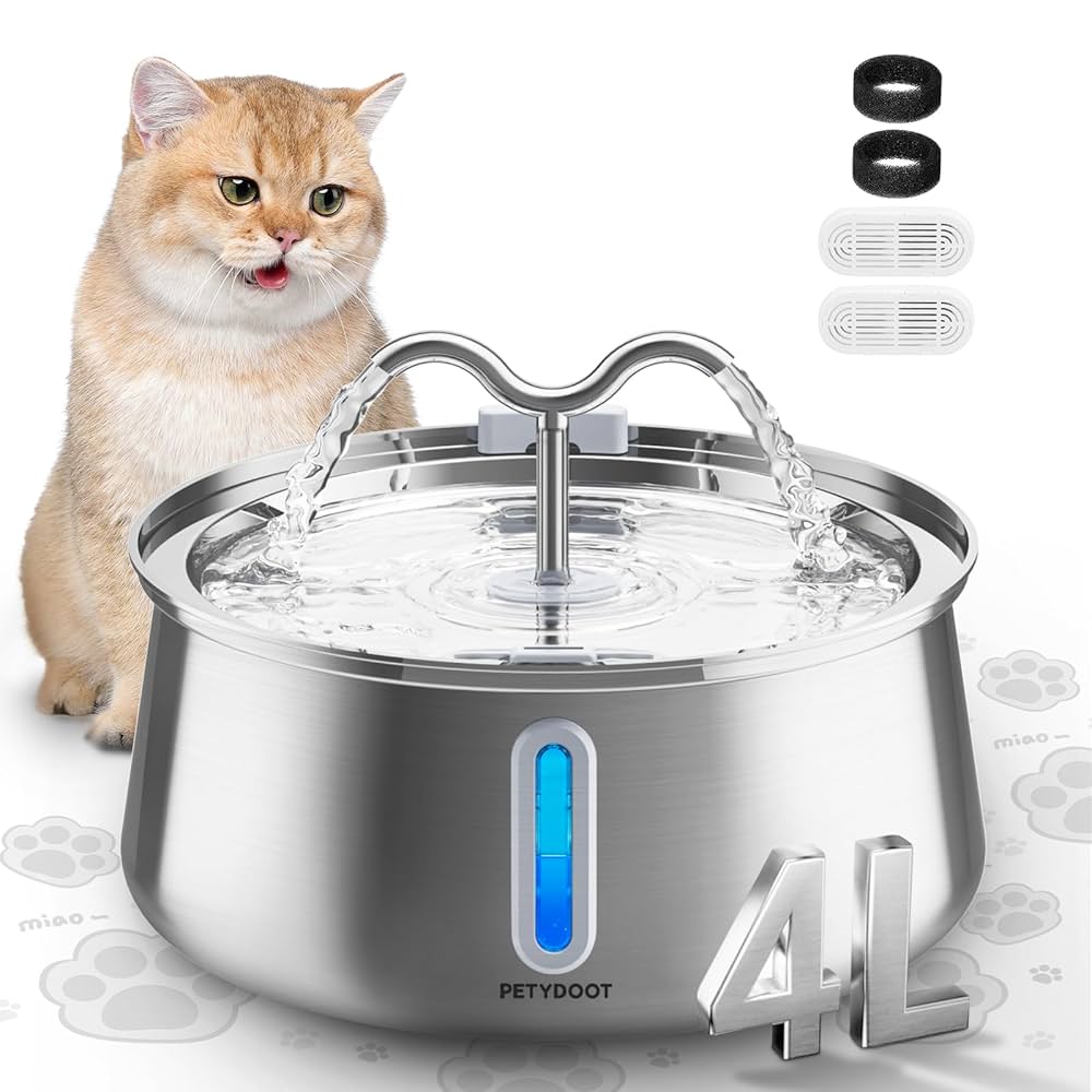 Featured image for the large cat water fountain guide