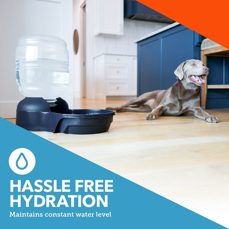 An application scenario or product detail of large pet water dispenser - Image 7