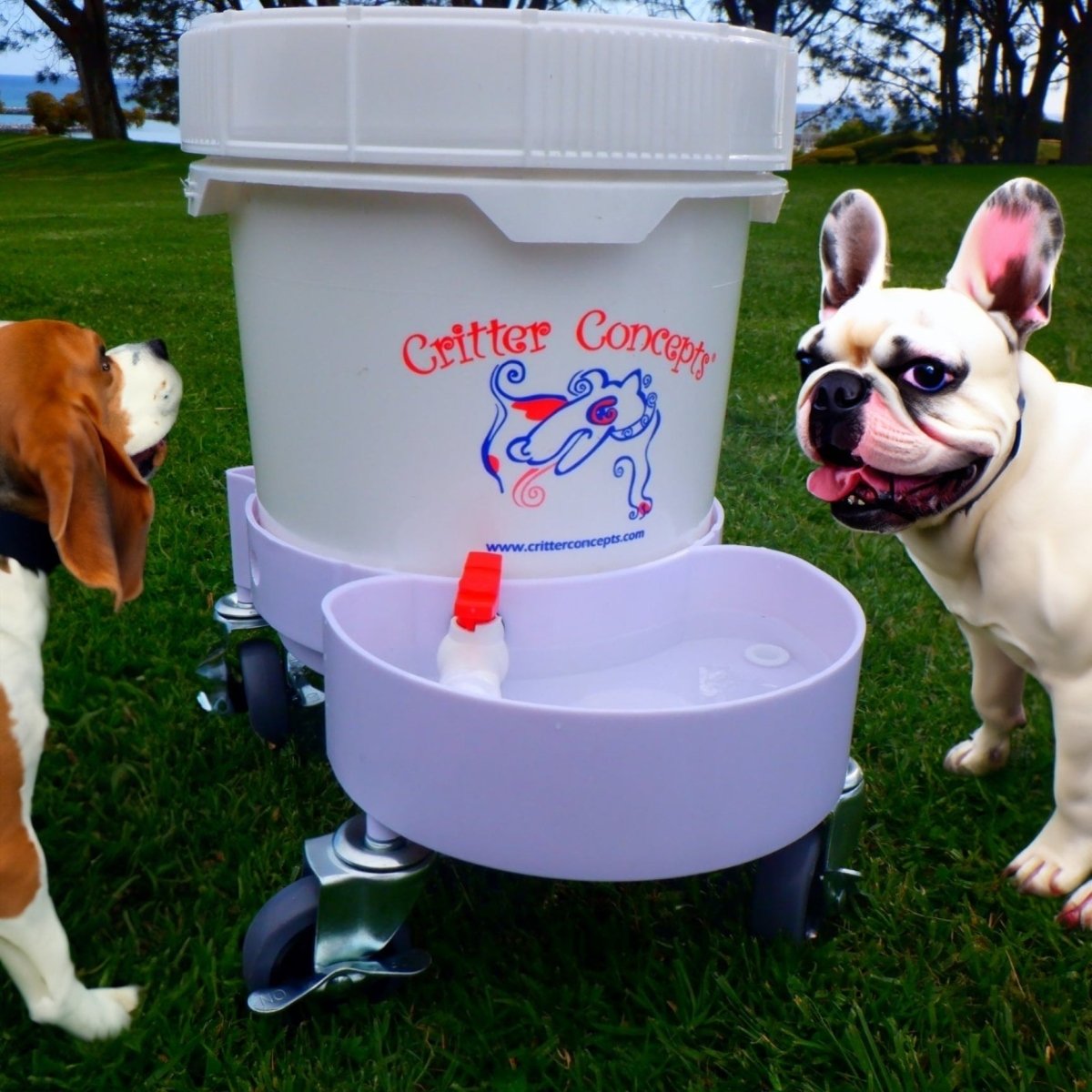 An application scenario or product detail of large pet water dispenser - Image 11