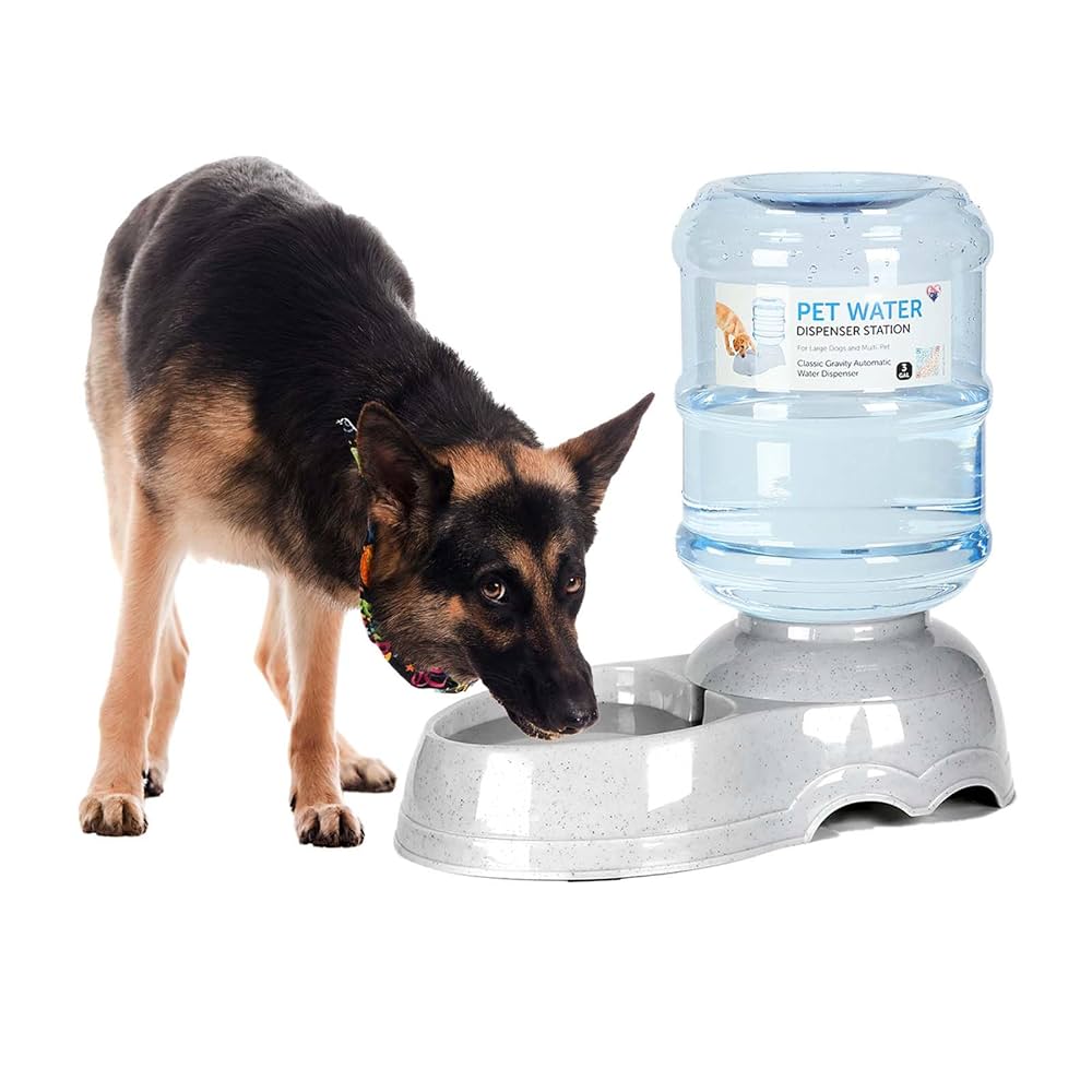 An application scenario or product detail of large pet water dispenser - Image 12