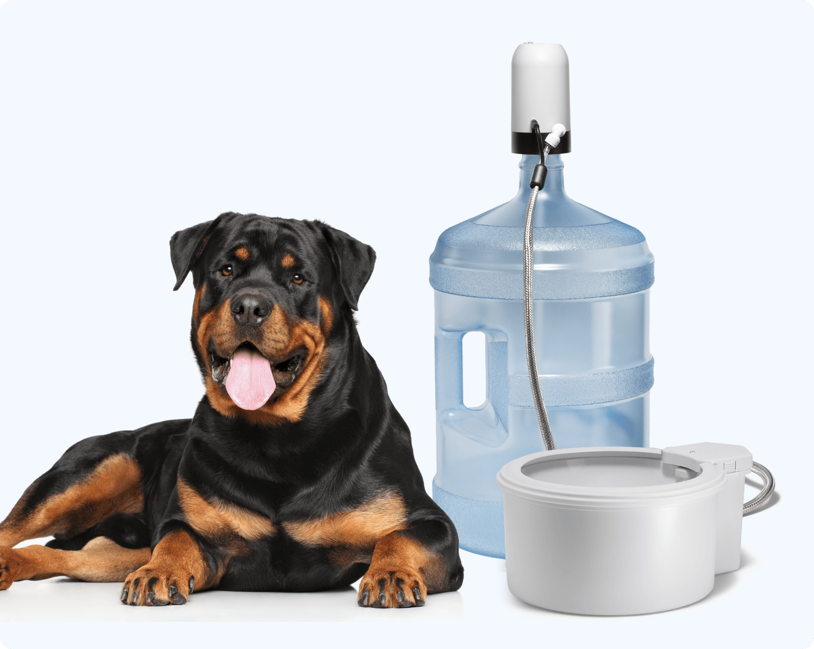 An application scenario or product detail of large pet water dispenser - Image 18