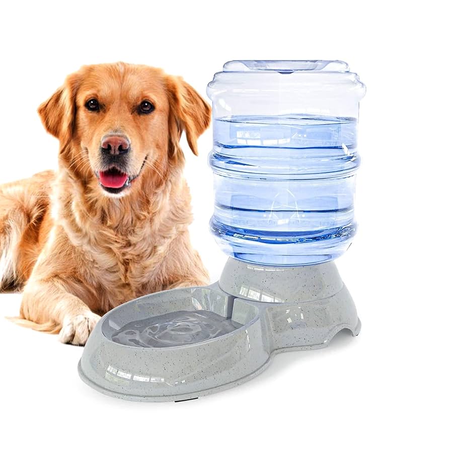 An application scenario or product detail of large pet water dispenser - Image 20