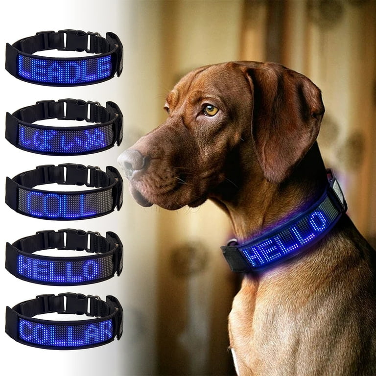 An application scenario or product detail of led lighted dog collar - Image 3