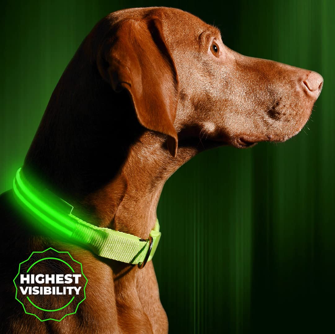 An application scenario or product detail of led lighted dog collar - Image 5