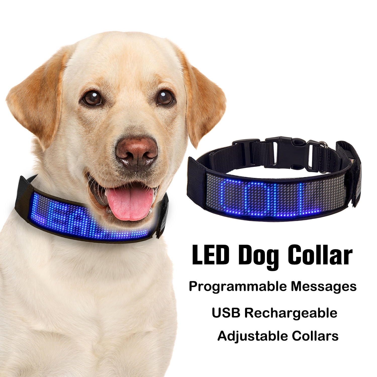 An application scenario or product detail of led lighted dog collar - Image 7