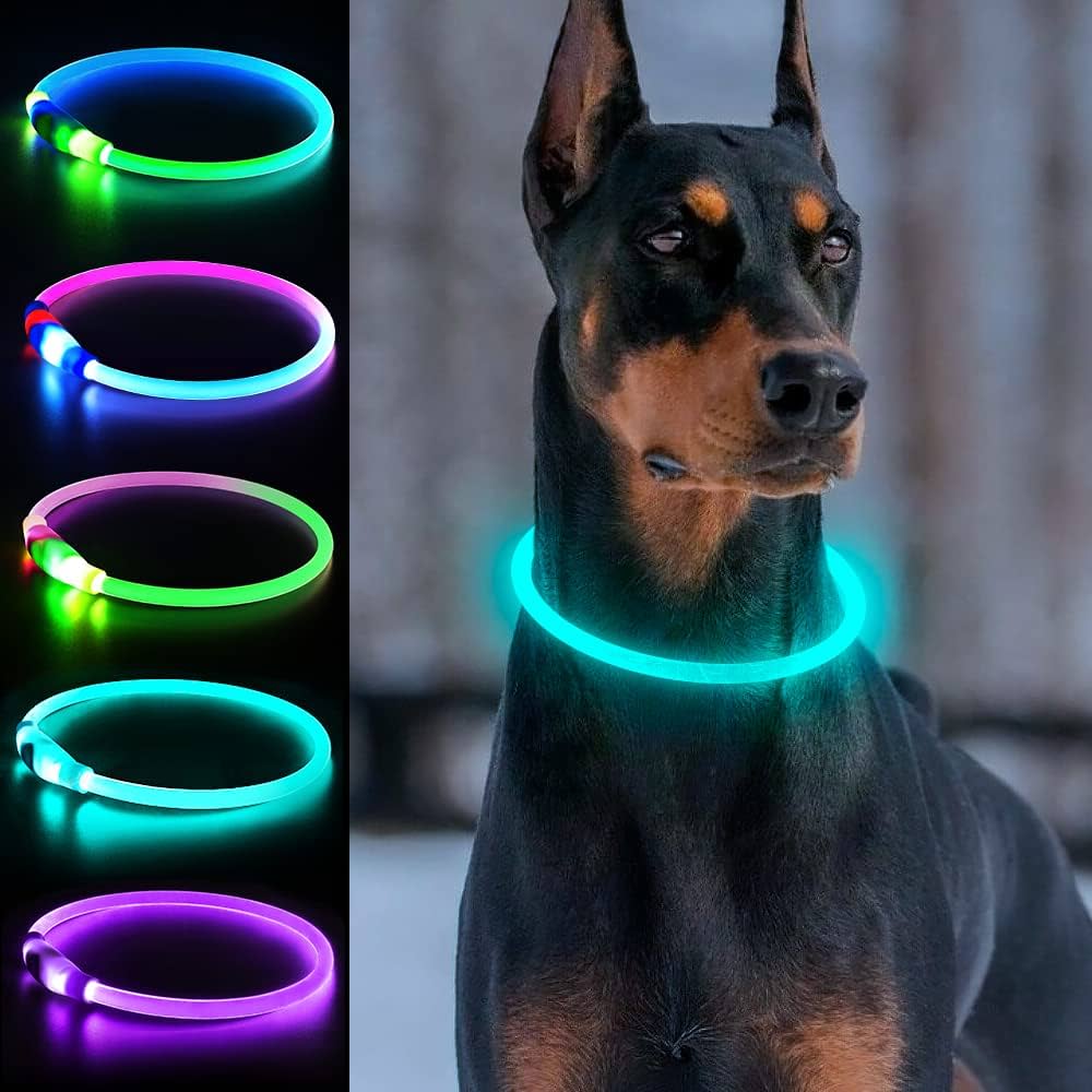 An application scenario or product detail of led lighted dog collar - Image 14