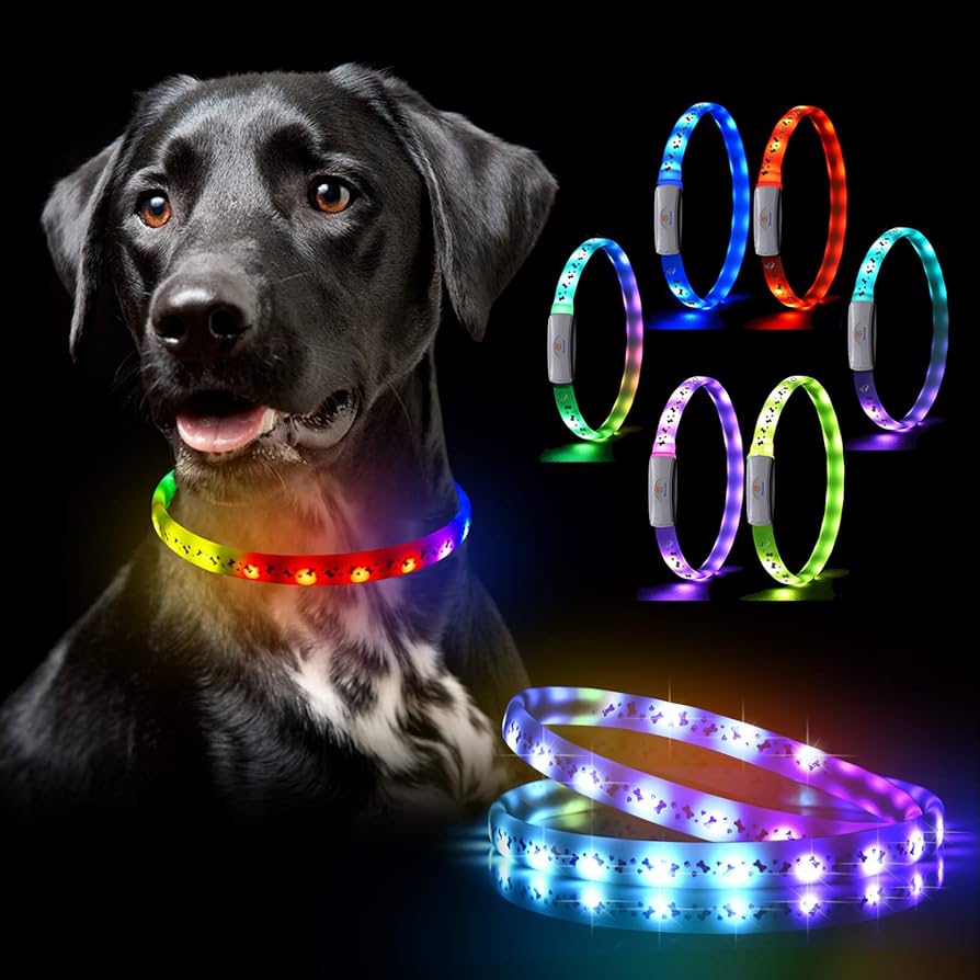 An application scenario or product detail of led lighted dog collar - Image 15