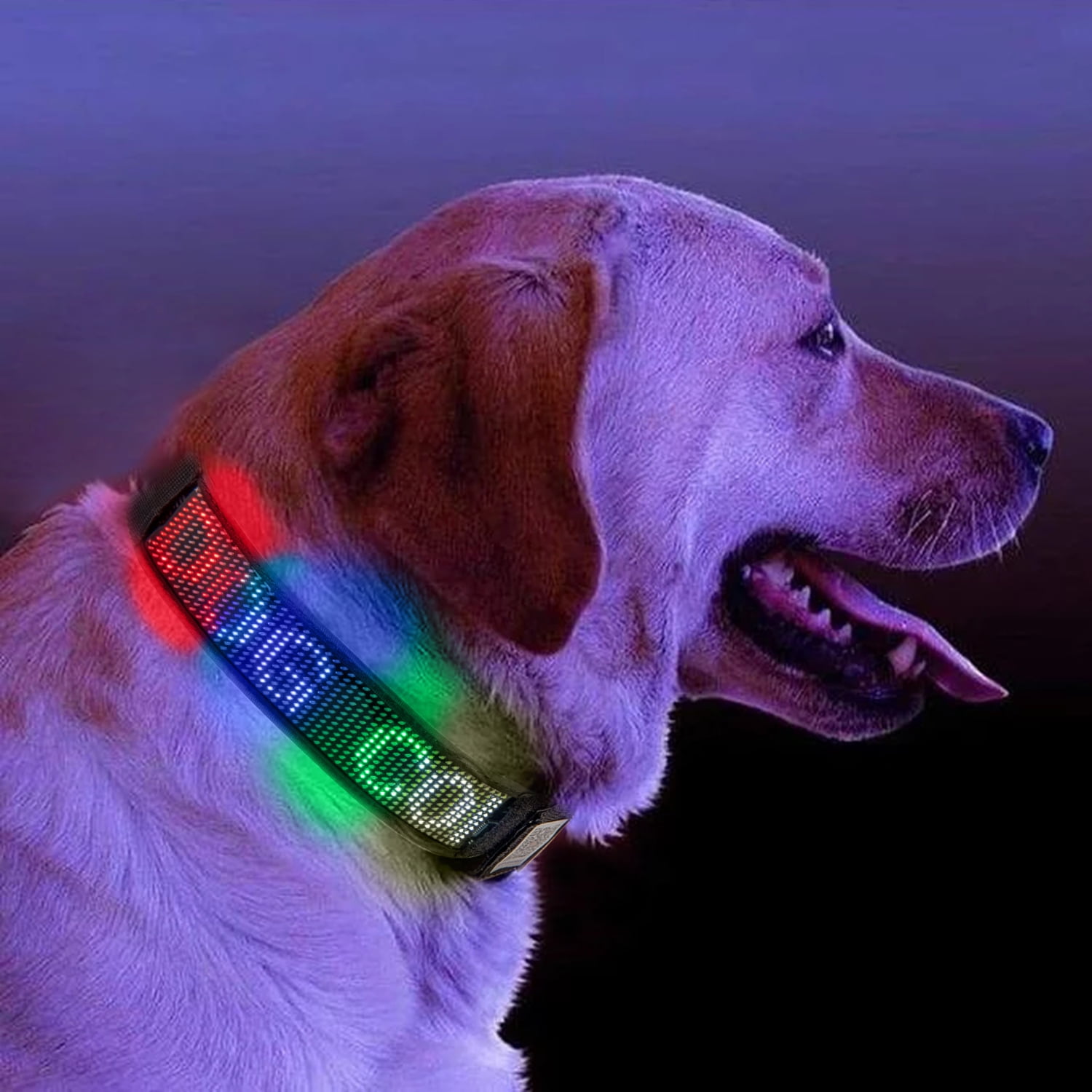 An application scenario or product detail of led lighted dog collar - Image 20