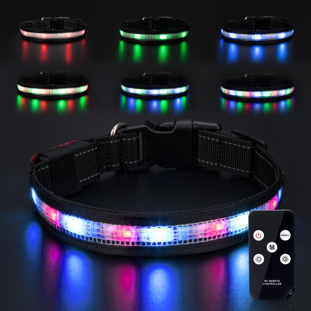 Featured image for the led lighted dog collar guide