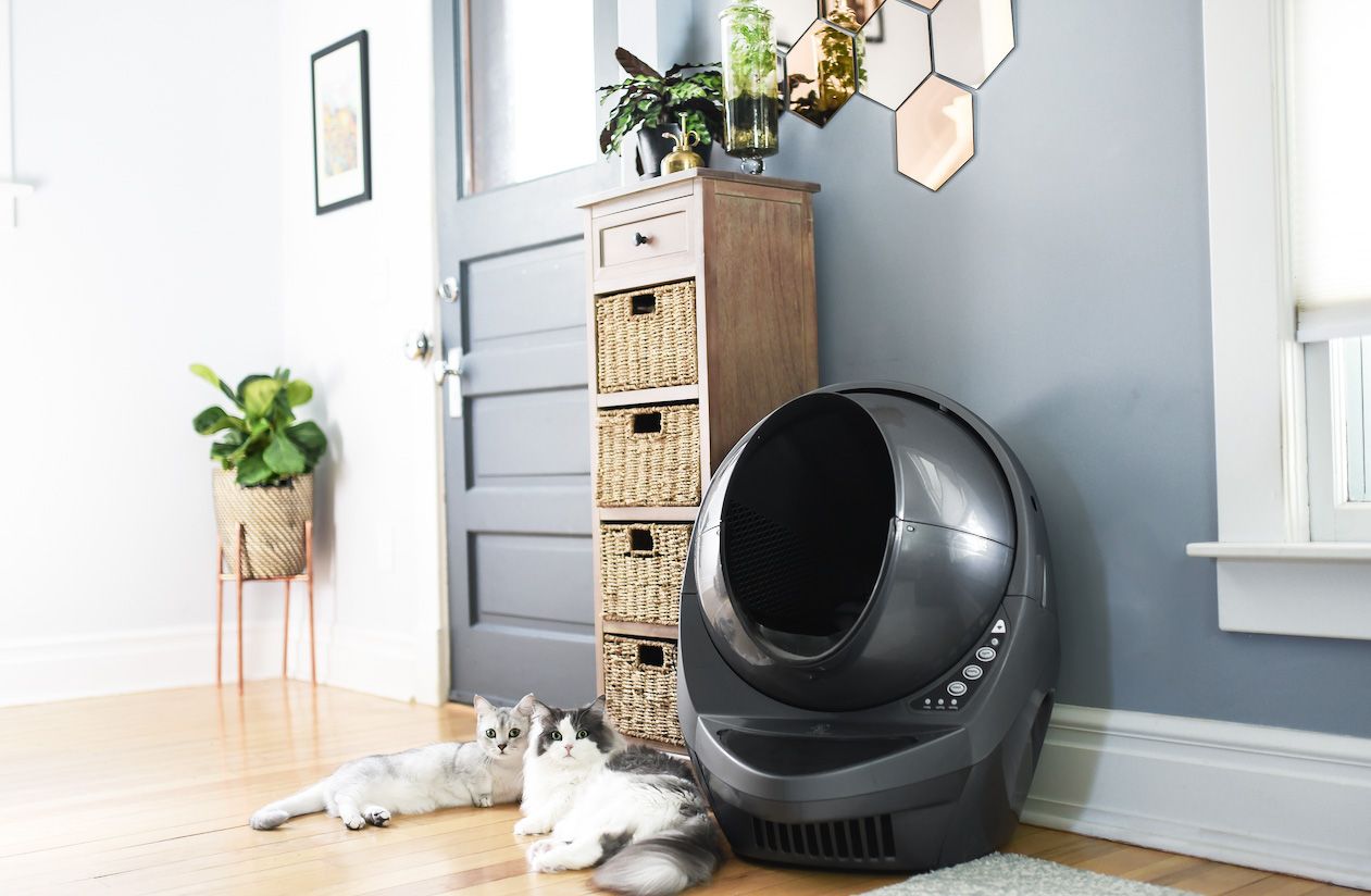 An application scenario or product detail of litter box toilet - Image 7