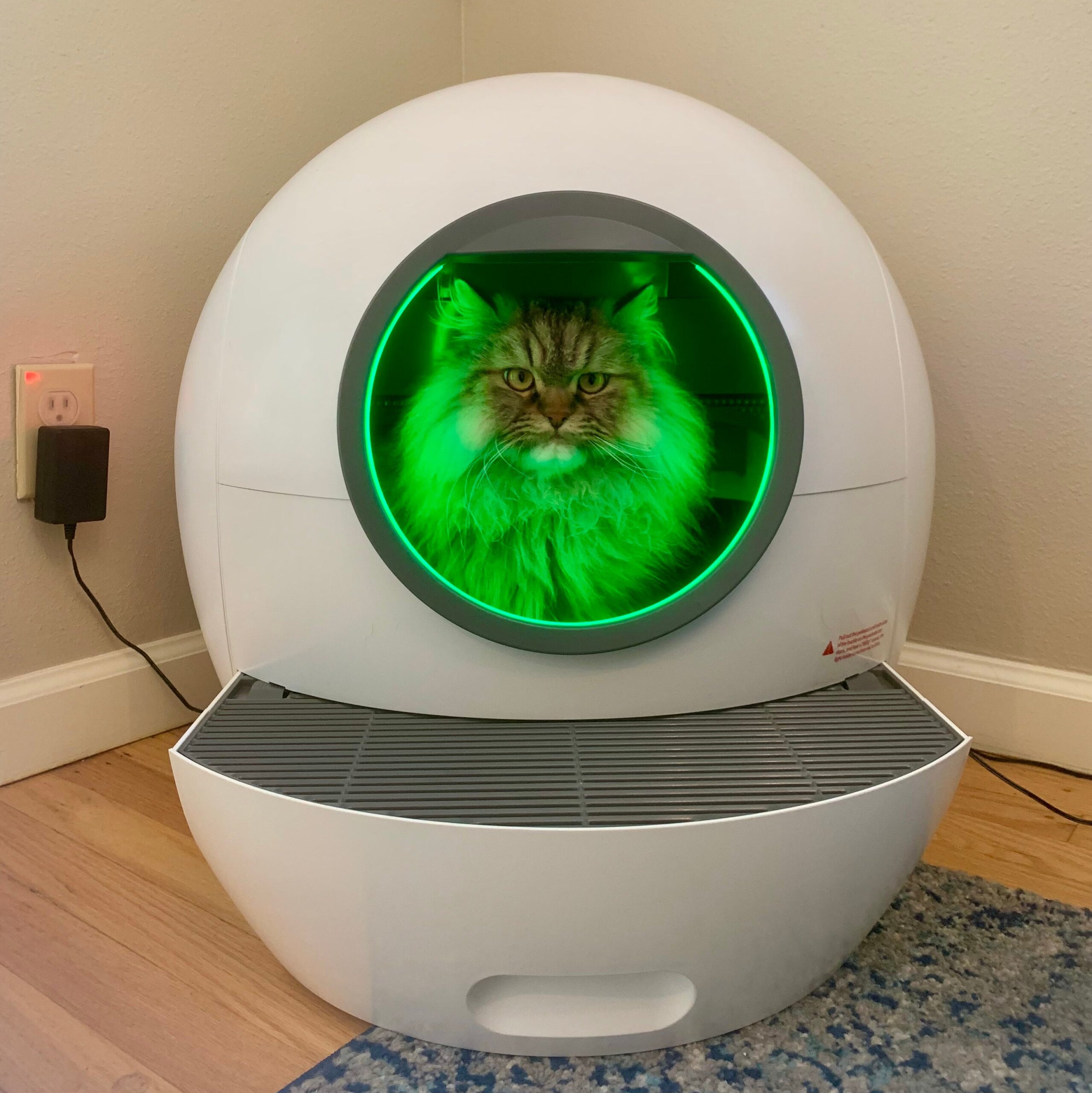 An application scenario or product detail of litter box toilet - Image 9