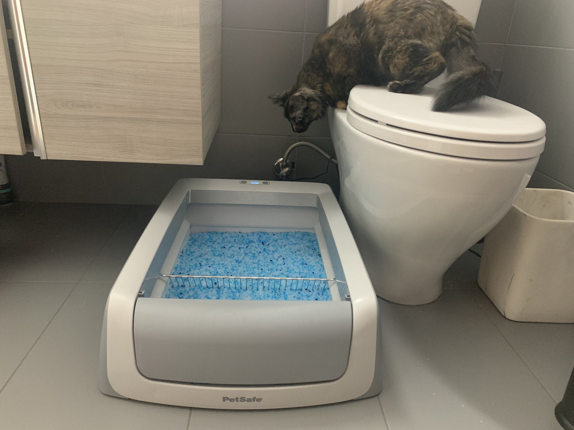 An application scenario or product detail of litter box toilet - Image 12