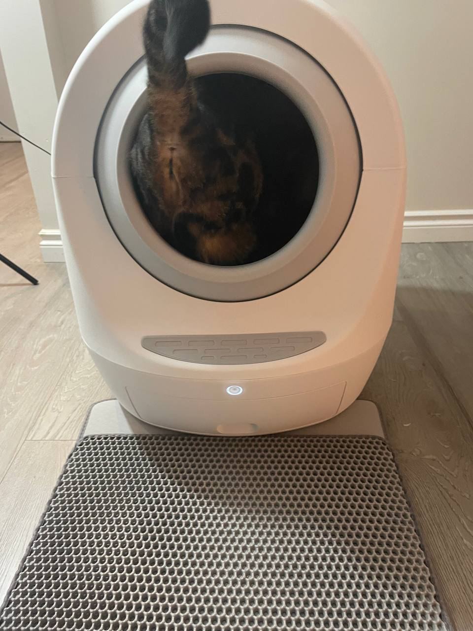 An application scenario or product detail of litter box toilet - Image 17