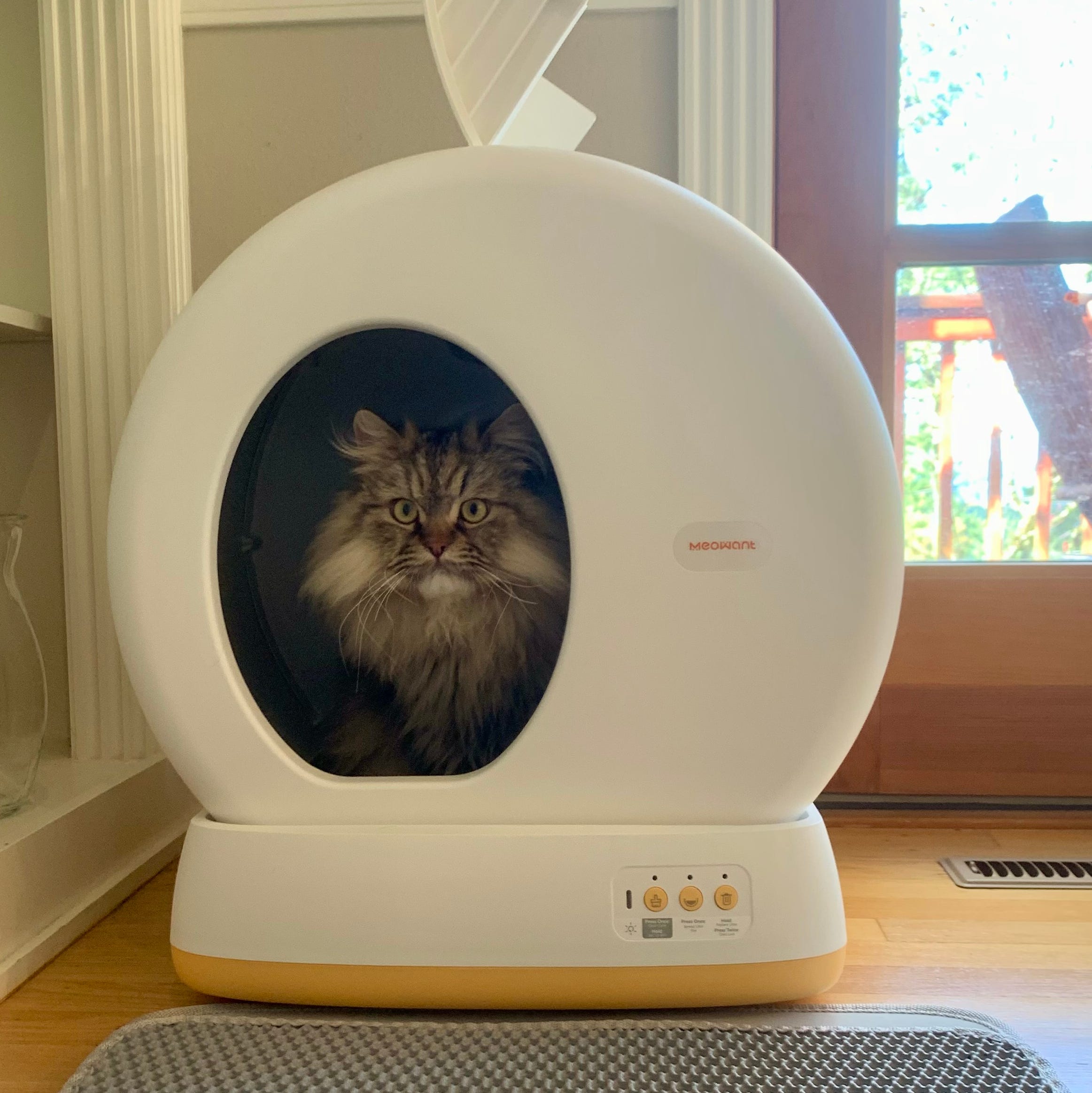 An application scenario or product detail of litter box toilet - Image 20