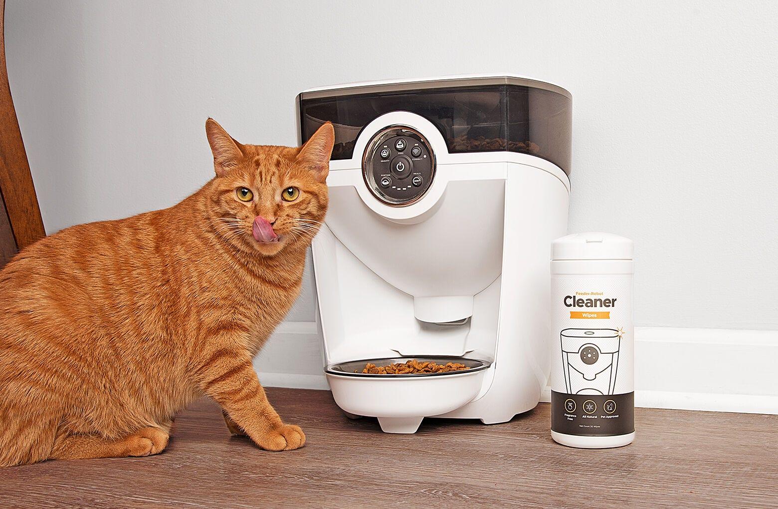 An application scenario or product detail of litter robot automatic feeder - Image 4