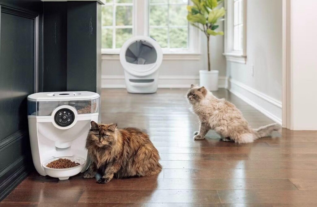 Featured image for the litter robot automatic feeder guide
