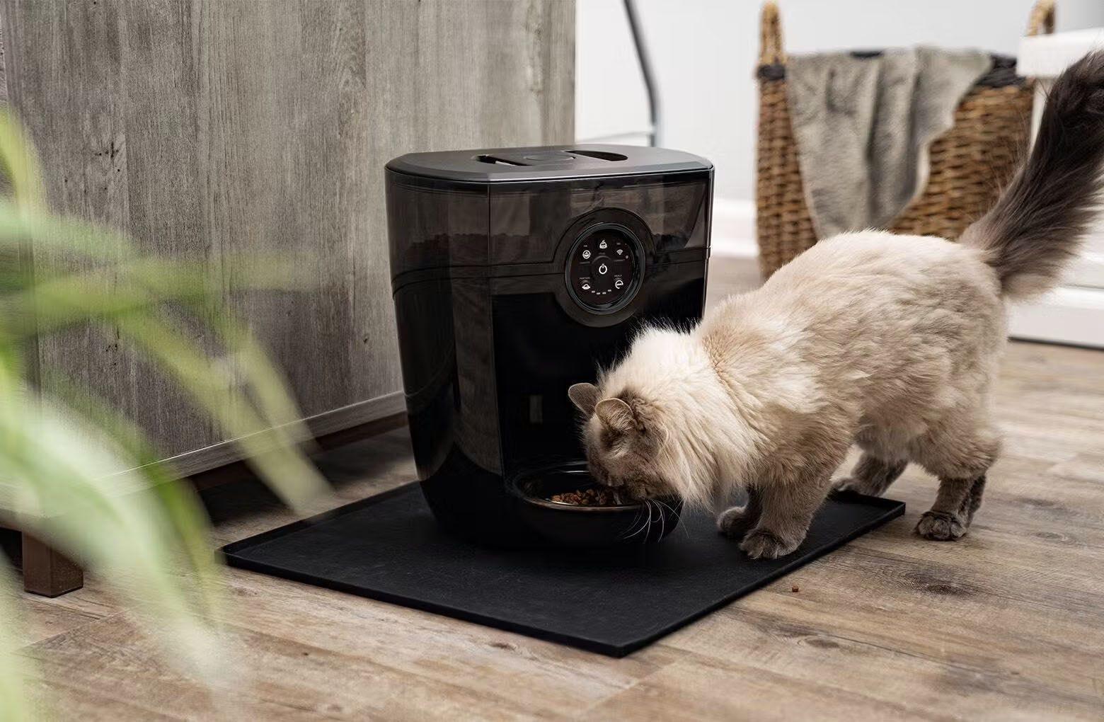 An application scenario or product detail of litter robot cat feeder - Image 2