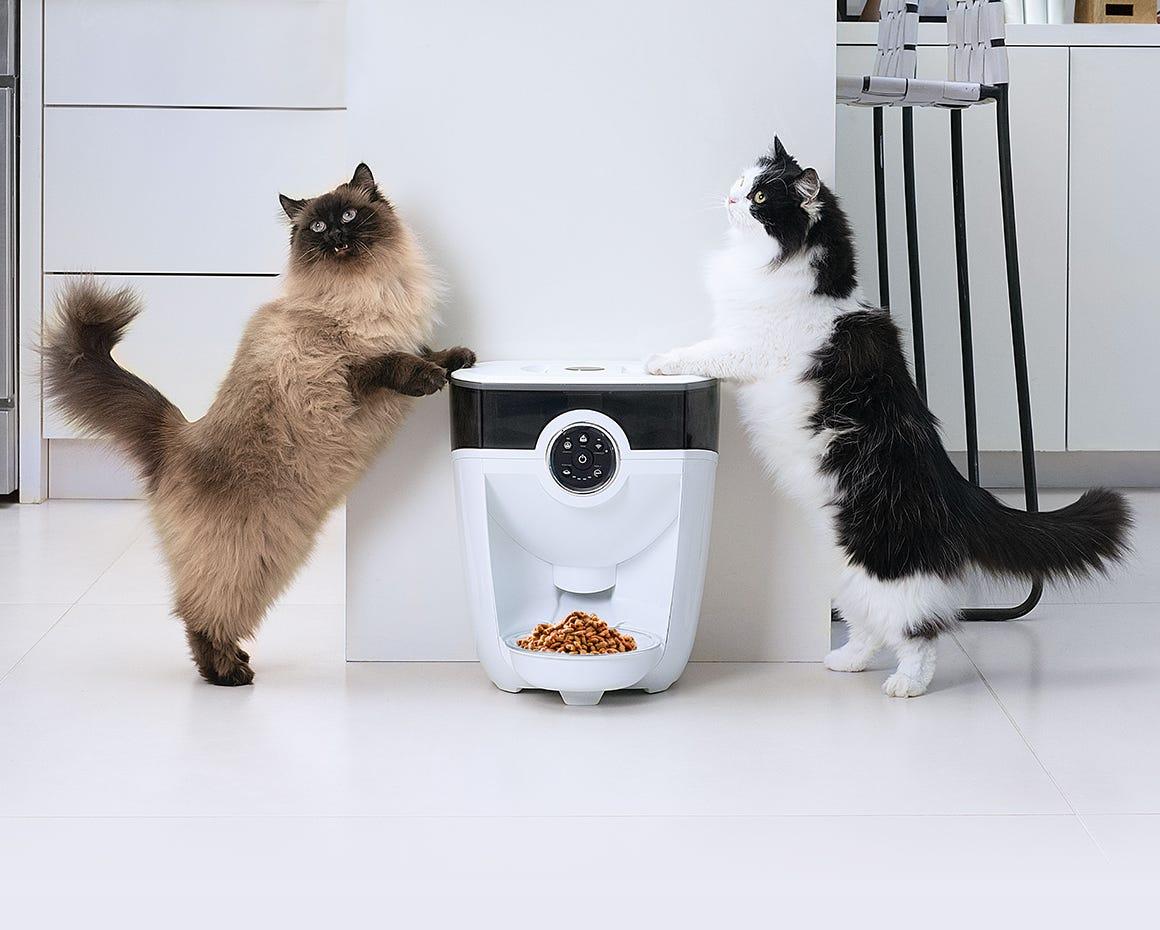 An application scenario or product detail of litter robot cat feeder - Image 6