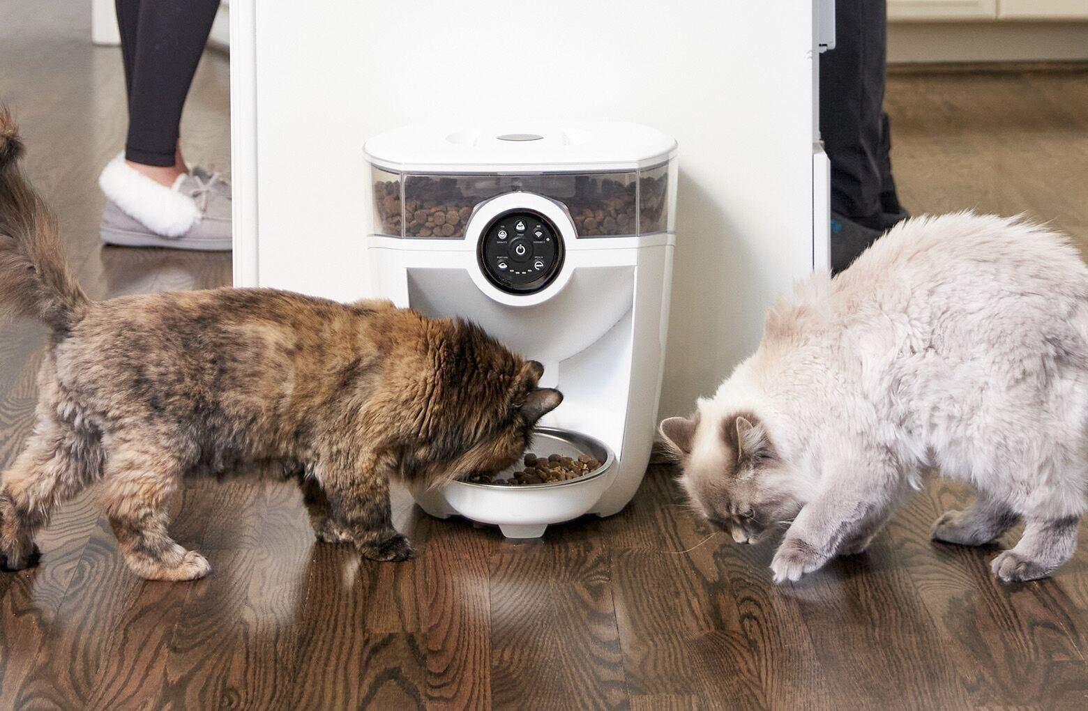 An application scenario or product detail of litter robot cat feeder - Image 7