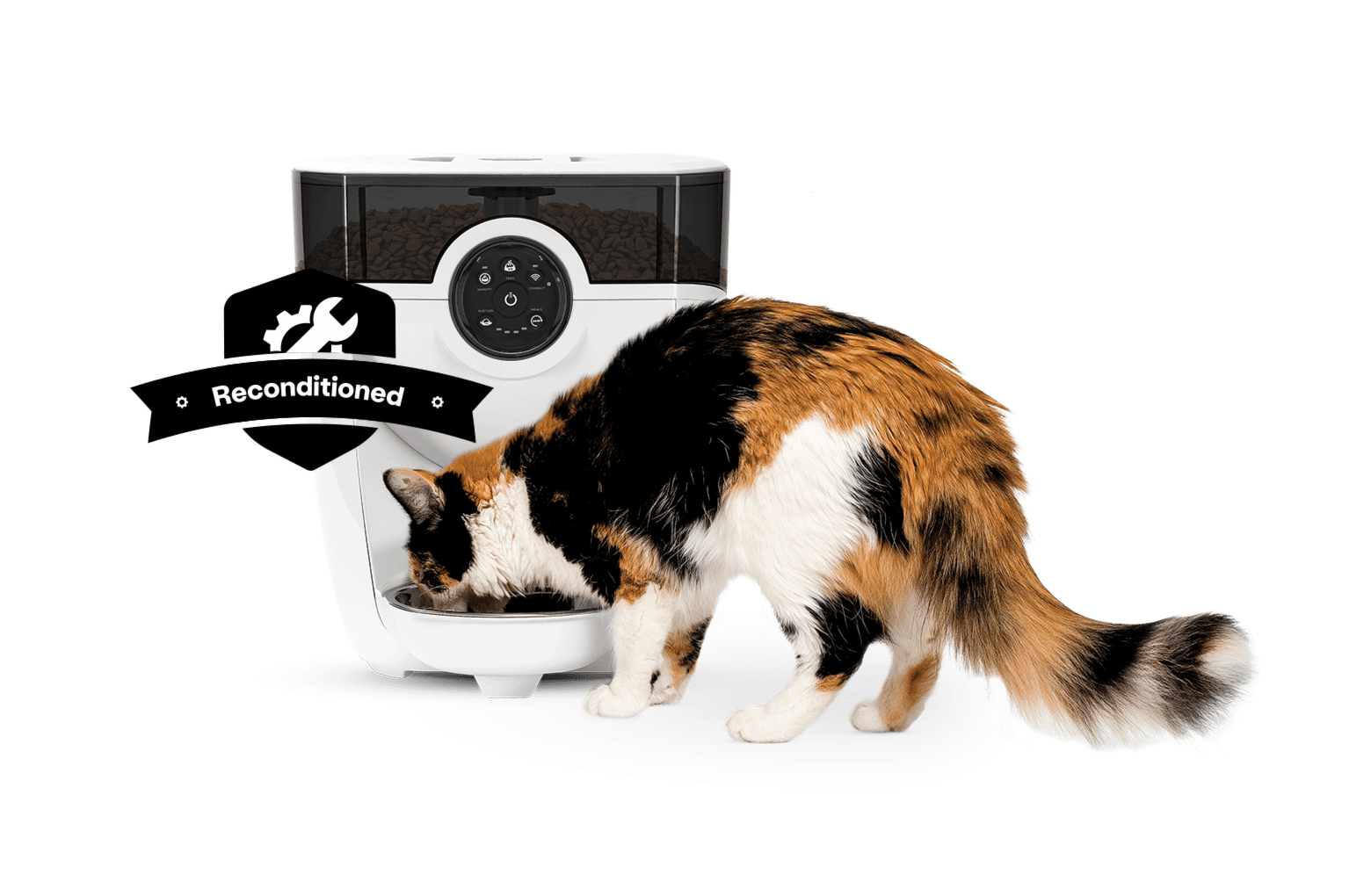 An application scenario or product detail of litter robot cat feeder - Image 9